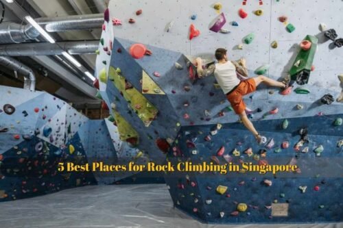 Rock Climbing in Singapore